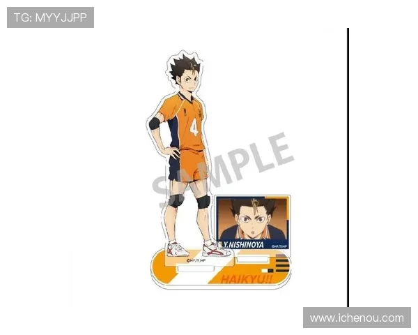 排球装备选购指南：精选球衣推荐与搭配技巧分享