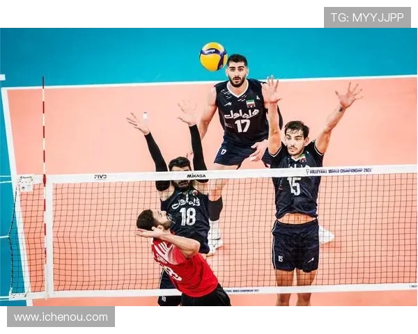 上海排球队意识争议引发热议球迷与专家观点交锋分析